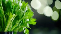 Fresh green celery stalks and leaves against dark background with soft bokeh lights, macro food photography for healthy eating and nutrition concepts.