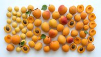 Fresh organic apricots arranged on white background, whole and halved fruits showing orange flesh and pits, summer stone fruit harvest collection.