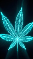 Glowing neon cannabis leaf outline in electric blue light against dark background for medical marijuana and hemp industry designs.
