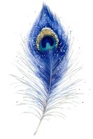 Vibrant blue peacock feather with delicate details and gold accents on white background, perfect for spiritual or decorative designs.