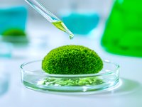 Laboratory pipette dropping green liquid onto moss sample in petri dish for botanical research and plant biology experiments in modern scientific facility.