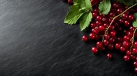 Fresh ripe red currant berries with green leaves on dark slate stone background with copy space. Natural healthy food concept for design.