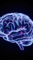 Glowing human brain with electric neural pathways and synaptic connections on dark background for neuroscience and medical research concepts.