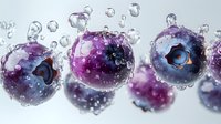 Fresh blueberries with water drops in macro photography on white background. Juicy purple berries with bubbles showing freshness and purity.