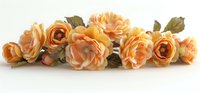 Isolated arrangement of orange and peach garden roses with green foliage on white background, ready for design projects, invitations, and decorative applications.
