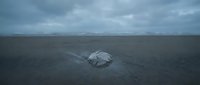 Abandoned plastic bag lying on dark asphalt road with stormy sky and mountains in distance, symbolizing environmental pollution and waste management issues.