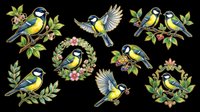 Colorful great tit birds clipart set, isolated on transparent background, ready for stickers, t-shirt design, sublimation, print on demand, and digital crafts.