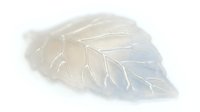 Translucent leaf skeleton with delicate vein patterns isolated on white background, suitable for design projects, overlays, and botanical artwork applications.