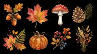 Autumn nature clipart set with acorns, maple leaves, mushroom, pine cone, pumpkin, berries, and ferns, isolated on transparent background, for T-shirts, stickers, print on demand.