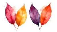 Watercolor autumn leaves in pink, orange, purple and red hues on white background, artistic botanical illustration for seasonal designs and decorative projects.