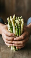 Fresh asparagus bunch held in hands of male farmer on wooden surface. Organic green vegetable harvest for cooking, healthy eating, and farm-to-table culinary use.