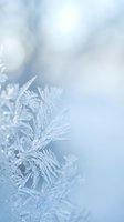 Delicate frost crystals forming intricate ice patterns on glass surface with soft blue winter light and dreamy bokeh background for seasonal designs.