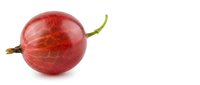 Fresh red gooseberry with green stem isolated on white background for culinary and healthy eating designs.
