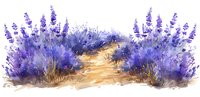 Watercolor lavender field border with sandy path, purple wildflowers and grass in soft artistic style, botanical garden illustration for nature design.