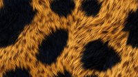 Detailed macro view of leopard fur pattern showing natural black rosettes on golden yellow background, creating wild animal print texture for fashion and design projects.
