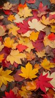 Vibrant autumn maple leaves in red, yellow and orange hues scattered on ground creating natural seasonal pattern. Perfect for fall season designs and backgrounds.