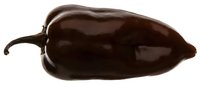 Fresh dark eggplant with glossy skin and stem isolated on white background, ready for culinary, food styling, and recipe design projects.