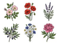 Botanical illustrations of wildflowers and herbs including roses, poppies, lavender, olive branches, cornflowers and peonies. Isolated clipart for design.