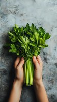 Fresh green celery bunch held by female hands against textured gray concrete background, top view composition for healthy eating and cooking concepts.