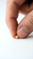 Closeup of adult hand holding small crumb of bread or food particle between thumb and finger against white background for nutrition and portion control concepts.