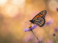 Monarch butterfly perched on delicate purple flower with soft bokeh background, suitable for nature, wildlife, and garden-themed projects.