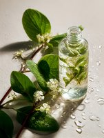 Glass bottle with natural herbal infusion, fresh green leaves and white flowers on wet surface in soft natural lighting, wellness and spa concept.