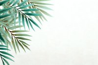Watercolor palm leaves on white textured paper background with copy space for tropical design projects.