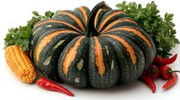 Large striped pumpkin with dark green and orange pattern surrounded by fresh corn cob, red chili peppers and parsley leaves on white background.