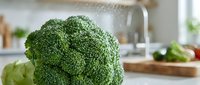 Fresh broccoli head with water droplets in modern kitchen setting, suitable for healthy eating, nutrition, cooking, and food photography projects.