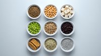 Variety of plant-based protein sources in white bowls including legumes, seeds, nuts and tofu arranged on gray background for healthy nutrition.
