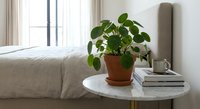 Cozy bedroom interior with green houseplant in terracotta pot on white round nightstand next to bed with neutral bedding and natural light from window.