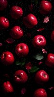 Fresh red apples with water drops scattered on dark background with green leaves. Moody food photography composition for healthy eating and harvest concept.