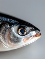 Fresh raw fish head close-up showing silvery scales, dark blue eye, and open mouth against light background, highlighting texture and natural detail for culinary use.