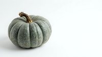 Round green pumpkin with ribbed texture and brown stem isolated on white background, suitable for autumn harvest designs, seasonal marketing, and fall-themed projects.
