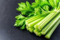 Fresh green celery stalks with leaves on dark slate background. Raw organic vegetables for healthy eating and cooking. Natural food photography.