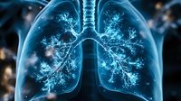Glowing blue anatomical visualization of human lungs and bronchial tree showing detailed respiratory system structure against dark background for medical education.