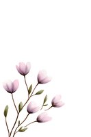 Delicate pink watercolor flowers with olive leaves on white background, minimalist botanical illustration for wedding stationery and feminine designs.