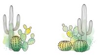 Desert cactus collection with saguaro and prickly pear plants in watercolor style isolated on white background for botanical design projects.