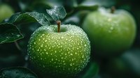 Fresh green apple covered in morning dew drops hanging on tree branch with blurred background. Natural organic produce with water droplets.