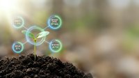 Young green plant seedling growing from rich dark soil with glowing digital sustainability icons representing eco-friendly growth and environmental technology.