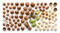 Whole and cracked hazelnuts with green leaves arranged flat lay on white background for food, nutrition, and culinary design projects.
