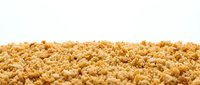 Crispy popcorn kernels scattered across white background, ready for snack food packaging, advertising, and culinary design projects.