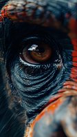Extreme close-up macro shot of a cassowary bird eye showing detailed texture of dark blue skin and vibrant orange coloring, highlighting natural patterns and wrinkles.