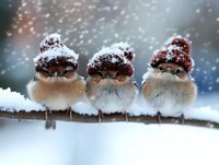 Three fluffy birds with snow-covered knit caps perched on branch during winter snowfall, creating whimsical seasonal nature scene for holiday greeting cards.