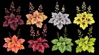 Colorful flower blooms with delicate stems isolated on transparent background, ready for t-shirt designs, clipart, stickers, sublimation, print-on-demand products and digital crafts.