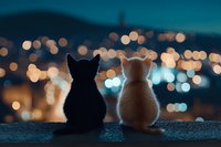 Two cats sitting together watching city lights at dusk, silhouetted against blurred bokeh background creating magical evening atmosphere.
