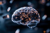 Glowing translucent brain with neural network connections and light particles floating in dark space, representing artificial intelligence and cognitive science.