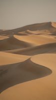Golden sand dunes create dramatic shadows and curves in vast desert landscape during warm sunlight for travel and nature backgrounds.