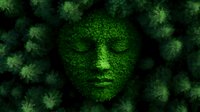 Green moss-covered human face emerging from lush forest foliage, symbolizing nature connection and environmental harmony for eco-friendly designs.