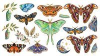 Vintage entomology collection featuring hand-drawn butterflies, moths, and insects with botanical elements on white background. Educational natural history illustration for design, print, and educational materials.